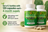 Nopal Capsulas